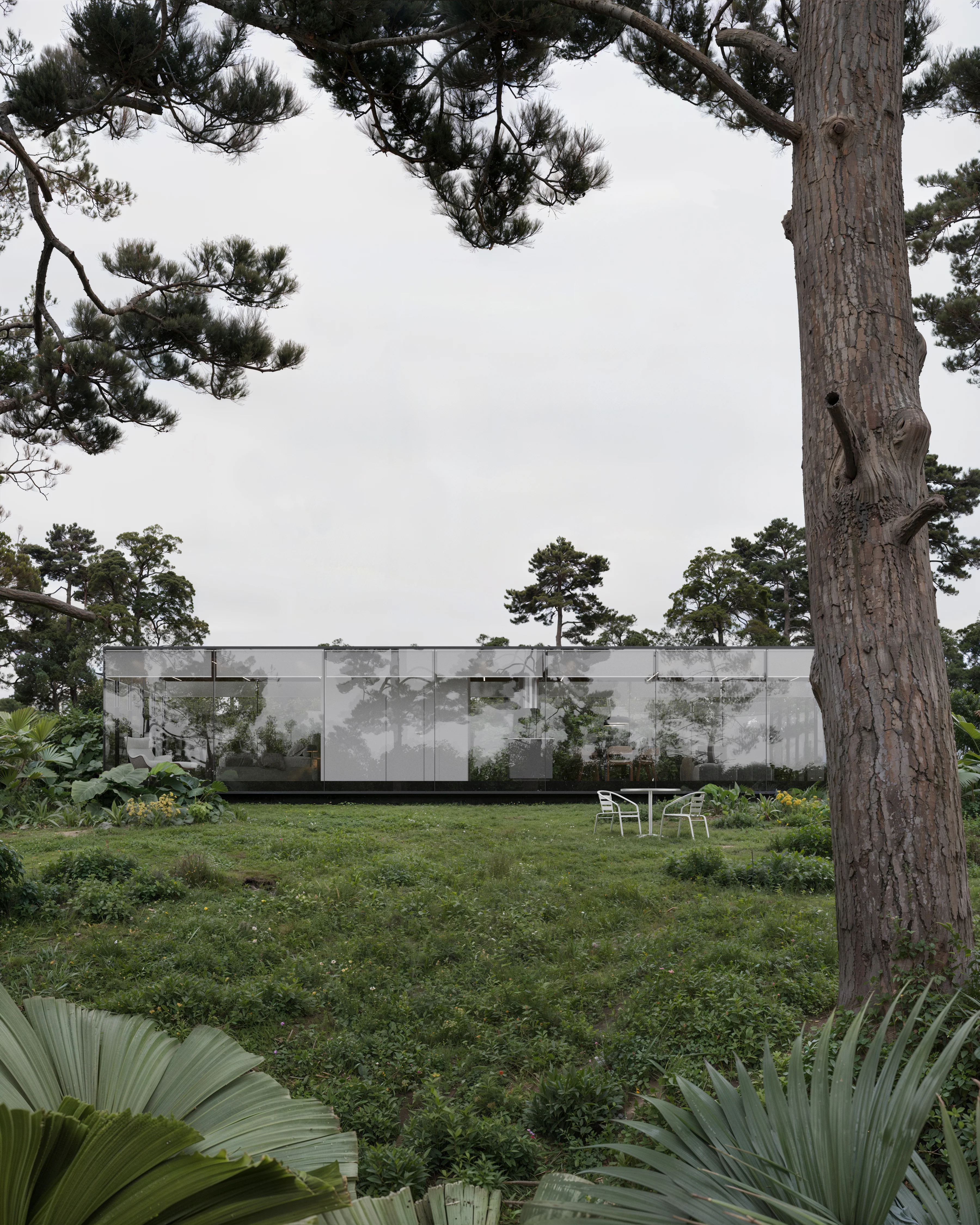 mirror house